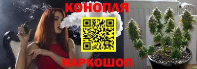 хмурый Заводоуковск
